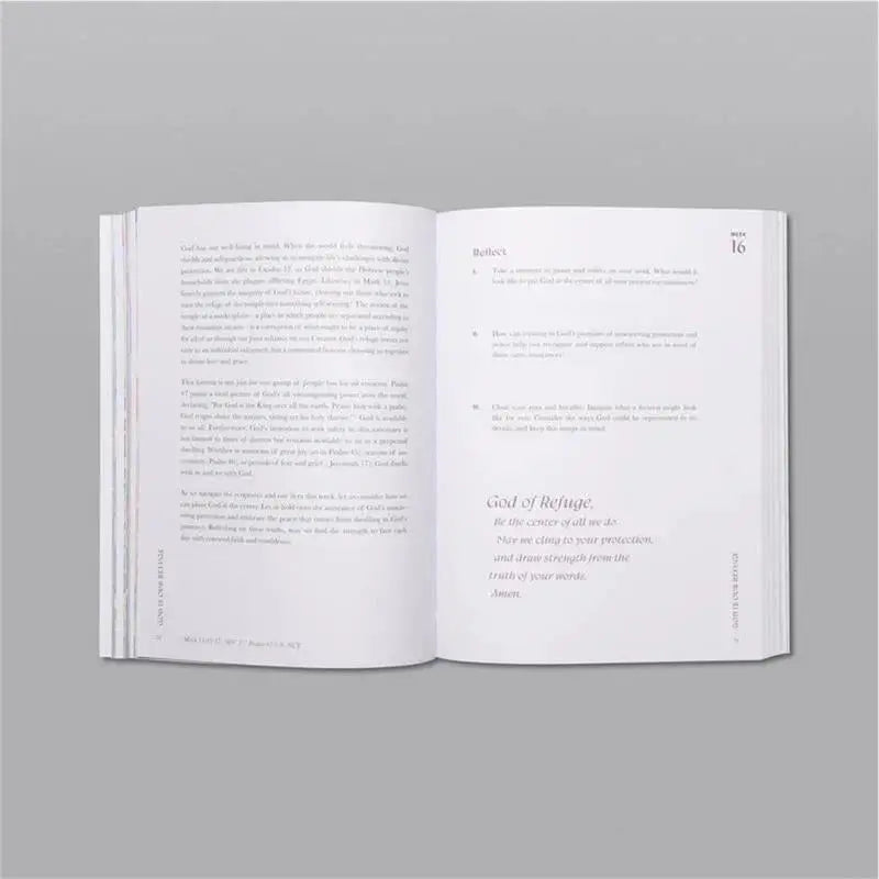 A Beautiful Year in the Bible Women Bible Study Guide Religious Notebook 52 Week Christian Journal Lady Religious Notebook